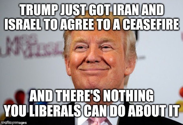 Peace through strength | TRUMP JUST GOT IRAN AND ISRAEL TO AGREE TO A CEASEFIRE; AND THERE'S NOTHING YOU LIBERALS CAN DO ABOUT IT | image tagged in donald trump approves | made w/ Imgflip meme maker