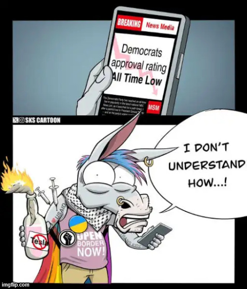 Clueless dems | image tagged in political,reposts,clueless dems | made w/ Imgflip meme maker