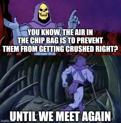 Why do people complain about this? | YOU KNOW, THE AIR IN THE CHIP BAG IS TO PREVENT THEM FROM GETTING CRUSHED RIGHT? UNTIL WE MEET AGAIN | image tagged in he man skeleton advices | made w/ Imgflip meme maker