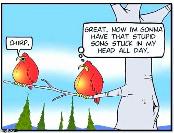 Chirp | image tagged in repost,chirp | made w/ Imgflip meme maker