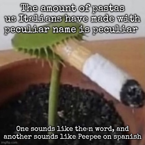 plant weeds | The amount of pastas us Italians have made with peculiar name is peculiar; One sounds like the n word, and another sounds like Peepee on spanish | image tagged in plant weeds,msmg | made w/ Imgflip meme maker