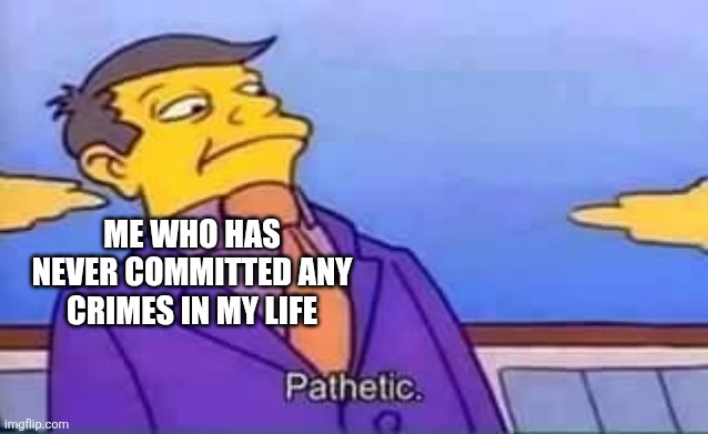 skinner pathetic | ME WHO HAS NEVER COMMITTED ANY CRIMES IN MY LIFE | image tagged in skinner pathetic | made w/ Imgflip meme maker