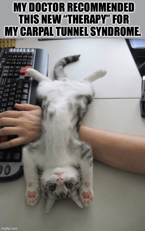 It’s working so far… | MY DOCTOR RECOMMENDED THIS NEW “THERAPY” FOR MY CARPAL TUNNEL SYNDROME. | image tagged in cats,carpal tunnel syndrome,therapy | made w/ Imgflip meme maker