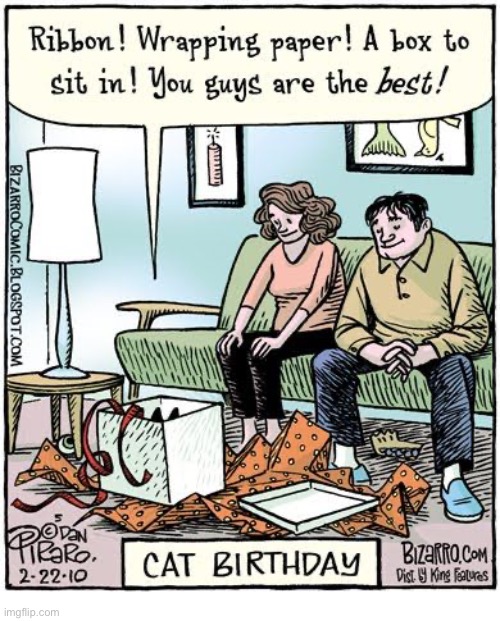 He really loves his birthday presents… | image tagged in cats,comics,bizarro comics,cat birthday | made w/ Imgflip meme maker