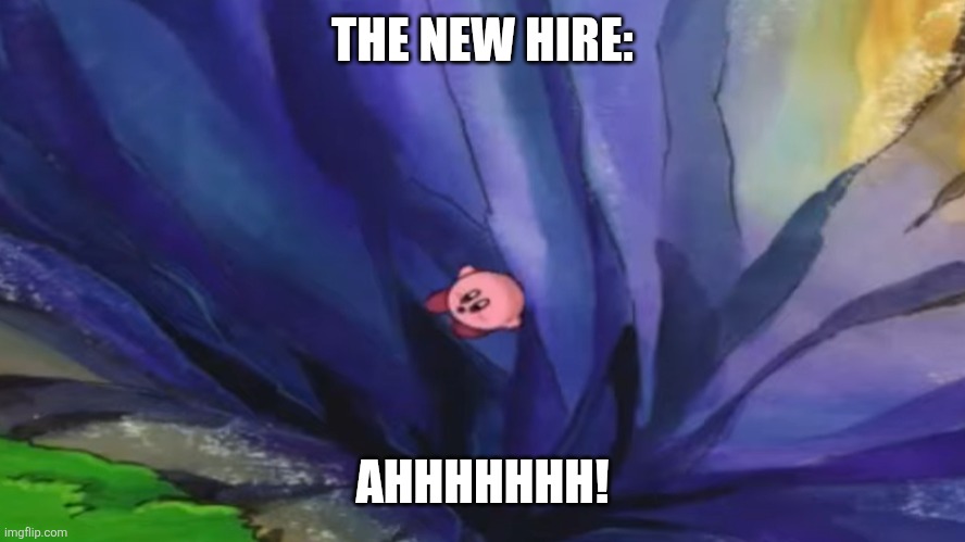 Kirby falling off a cliff (blank template) | THE NEW HIRE: AHHHHHHH! | image tagged in kirby falling off a cliff blank template | made w/ Imgflip meme maker