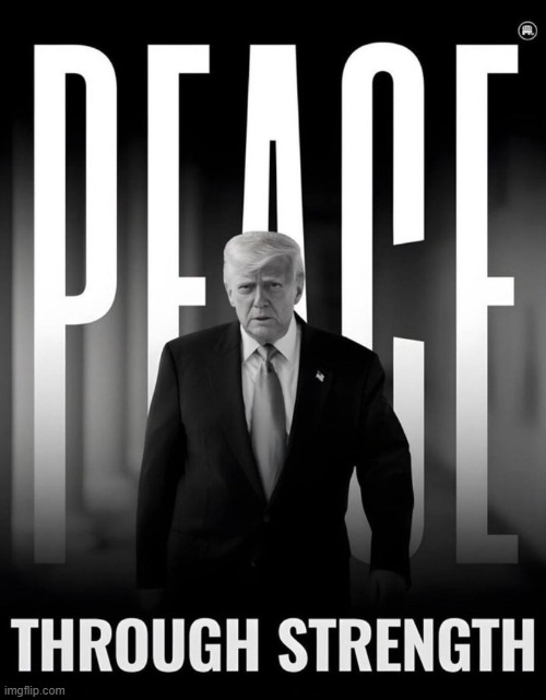 We Should All Embrace PEACE Through Strength | image tagged in no argument here,hope we can all get along,america,respect,donald trump | made w/ Imgflip meme maker