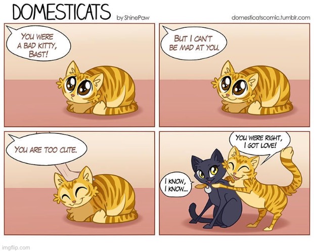 It’s one of their greatest superpowers… | image tagged in cats,comics,domesticats | made w/ Imgflip meme maker