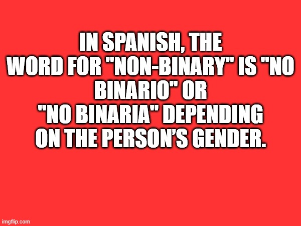 spanish non binary | IN SPANISH, THE WORD FOR "NON-BINARY" IS "NO
BINARIO" OR "NO BINARIA" DEPENDING ON THE PERSON’S GENDER. | image tagged in spanish pronouns | made w/ Imgflip meme maker
