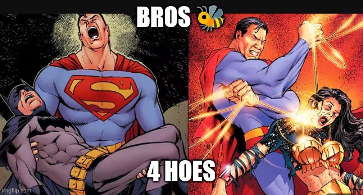 Yup | BROS 🐝; 4 HOES | image tagged in gym bros,comic book | made w/ Imgflip meme maker