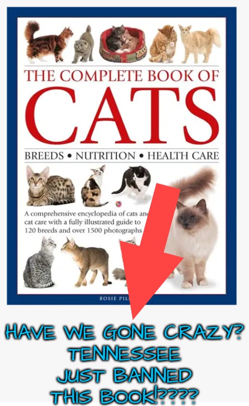 What is Going On?!! | HAVE WE GONE CRAZY?
TENNESSEE JUST BANNED THIS BOOK!???? | image tagged in banned books,why don't they like cats,what is going on | made w/ Imgflip meme maker