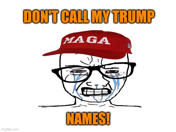 Blank White Template | DON'T CALL MY TRUMP NAMES! | image tagged in blank white template | made w/ Imgflip meme maker