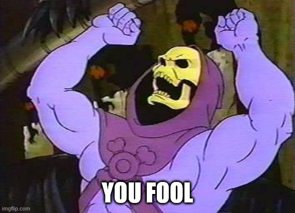 You Fool Skeletor | YOU FOOL | image tagged in you fool skeletor | made w/ Imgflip meme maker