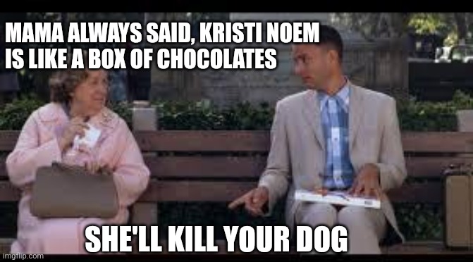 Fascist is as fascist does | MAMA ALWAYS SAID, KRISTI NOEM
IS LIKE A BOX OF CHOCOLATES; SHE'LL KILL YOUR DOG | image tagged in forrest gump box of chocolates,kristi noem,forrest gump | made w/ Imgflip meme maker