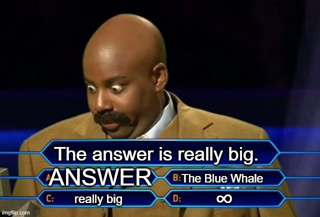 Who wants to be a millionaire? | The answer is really big. ANSWER; The Blue Whale; ∞; really big | image tagged in who wants to be a millionaire | made w/ Imgflip meme maker