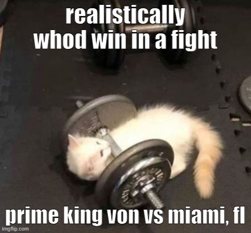 cat working out | realistically whod win in a fight; prime king von vs miami, fl | image tagged in cat working out | made w/ Imgflip meme maker