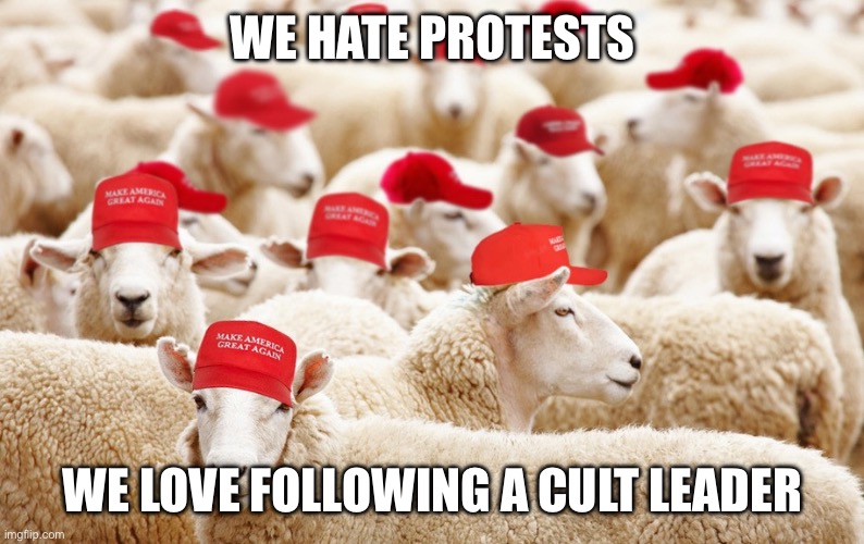 MAGA sheep | WE HATE PROTESTS; WE LOVE FOLLOWING A CULT LEADER | image tagged in donald trump,maga,republicans,conservatives,right wing,sheep | made w/ Imgflip meme maker