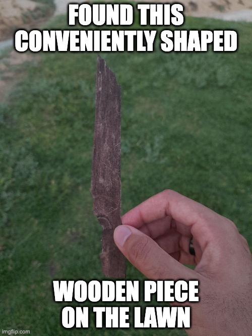 "HE'S GOT A WEAPON!!!!" | FOUND THIS CONVENIENTLY SHAPED; WOODEN PIECE ON THE LAWN | made w/ Imgflip meme maker
