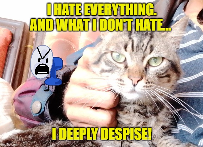 I HATE EVERYTHING. AND WHAT I DON'T HATE…; I DEEPLY DESPISE! | made w/ Imgflip meme maker