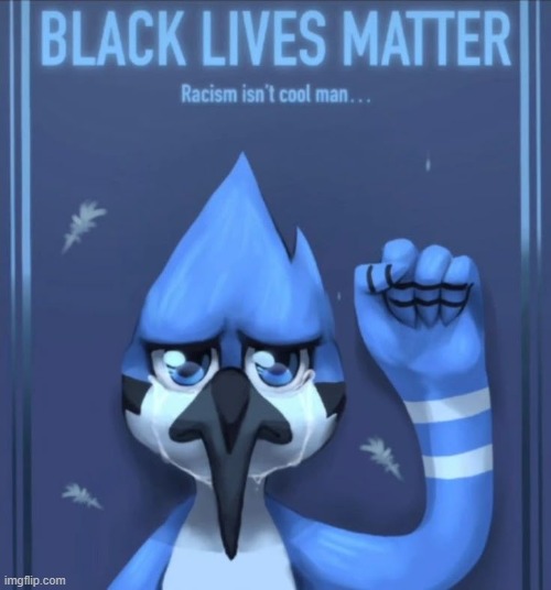 Mordecai seeing that one chicks bio has blm in it | image tagged in memes | made w/ Imgflip meme maker