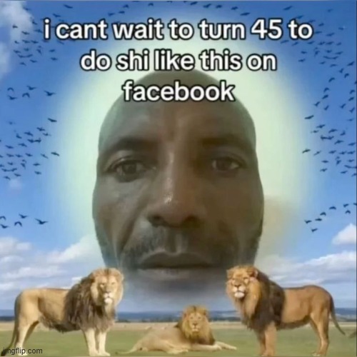 image tagged in memes | made w/ Imgflip meme maker