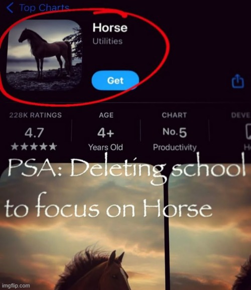horse. | image tagged in memes,horse | made w/ Imgflip meme maker