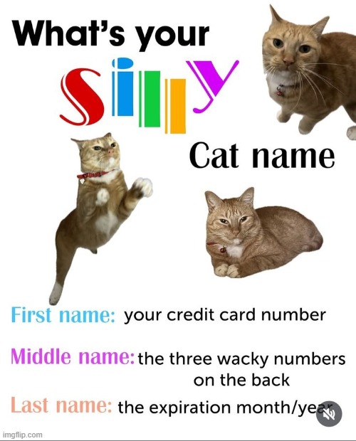 pls give your SUPER SILLY cat name in the comments! | image tagged in memes,silly,cat | made w/ Imgflip meme maker