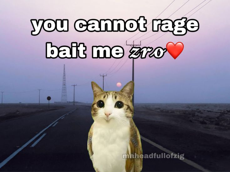 you cant ragebait me Blank Meme Template