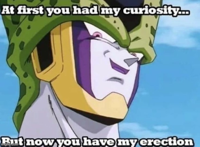 At first you had my curiosity but now you have my erection | image tagged in at first you had my curiosity but now you have my erection | made w/ Imgflip meme maker