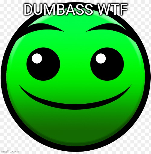 fire in the hole | DUMBASS WTF | image tagged in fire in the hole | made w/ Imgflip meme maker