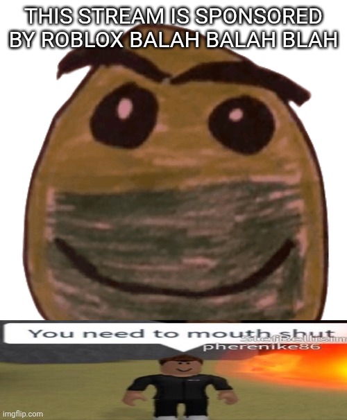 Normal face | THIS STREAM IS SPONSORED BY ROBLOX BALAH BALAH BLAH | image tagged in normal face | made w/ Imgflip meme maker