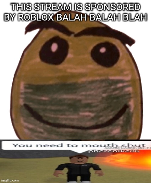 Normal face | THIS STREAM IS SPONSORED BY ROBLOX BALAH BALAH BLAH | image tagged in normal face | made w/ Imgflip meme maker