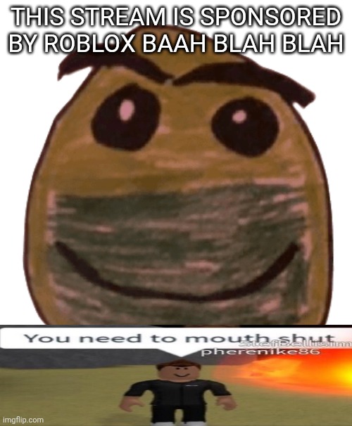 Normal face | THIS STREAM IS SPONSORED BY ROBLOX BAAH BLAH BLAH | image tagged in normal face | made w/ Imgflip meme maker