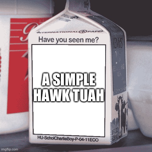 Missing Person | A SIMPLE HAWK TUAH | image tagged in missing person | made w/ Imgflip meme maker