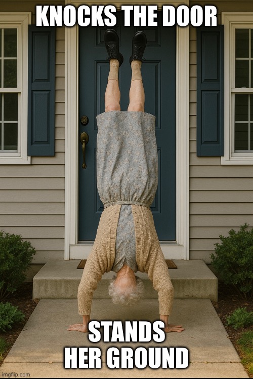 KNOCKS THE DOOR; STANDS HER GROUND | image tagged in funny,fun,old lady,old | made w/ Imgflip meme maker