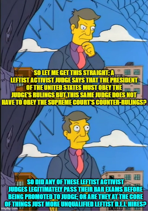 I'm going with unqualified leftist D.E.I. hires. | SO LET ME GET THIS STRAIGHT; A LEFTIST ACTIVIST JUDGE SAYS THAT THE PRESIDENT OF THE UNITED STATES MUST OBEY THE JUDGE'S RULINGS BUT THIS SAME JUDGE DOES NOT HAVE TO OBEY THE SUPREME COURT'S COUNTER-RULINGS? SO DID ANY OF THESE LEFTIST ACTIVIST JUDGES LEGITIMATELY PASS THEIR BAR EXAMS BEFORE BEING PROMOTED TO JUDGE; OR ARE THEY AT THE CORE OF THINGS JUST MORE UNQUALIFIED LEFTIST D.E.I. HIRES? | image tagged in skinner out of touch | made w/ Imgflip meme maker