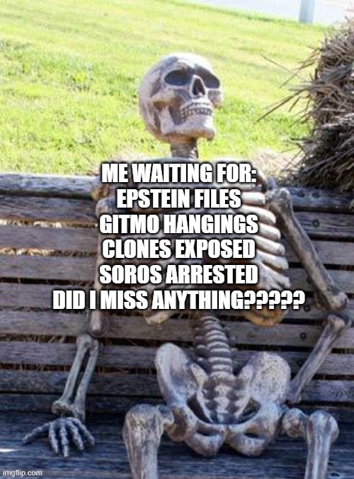 did I miss anything | ME WAITING FOR:
EPSTEIN FILES
GITMO HANGINGS
CLONES EXPOSED
SOROS ARRESTED
DID I MISS ANYTHING????? | image tagged in memes,waiting skeleton | made w/ Imgflip meme maker