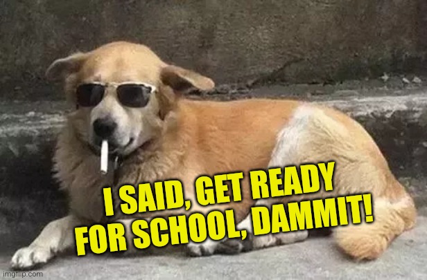 I SAID, GET READY FOR SCHOOL, DAMMIT! | made w/ Imgflip meme maker
