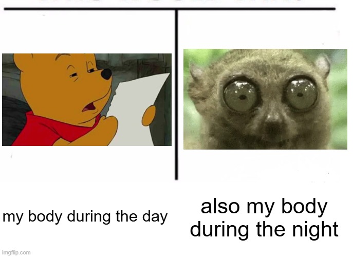 Why tf am I getting insomnia at night? | also my body during the night; my body during the day | image tagged in comparison table,memes,funny,relatable,wide awake,tired | made w/ Imgflip meme maker