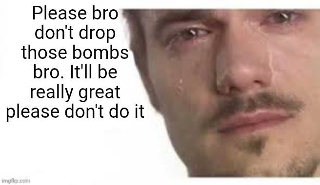 Bro Please Bro | Please bro don't drop those bombs bro. It'll be really great please don't do it | image tagged in bro please bro | made w/ Imgflip meme maker