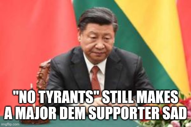 Sad Xi Jinping | "NO TYRANTS" STILL MAKES A MAJOR DEM SUPPORTER SAD | image tagged in sad xi jinping | made w/ Imgflip meme maker
