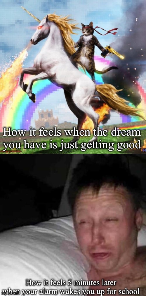 Bro I never have these dreams on any other days than school days | How it feels when the dream you have is just getting good; How it feels 5 minutes later when your alarm wakes you up for school | image tagged in memes,welcome to the internets,sleepy guy | made w/ Imgflip meme maker