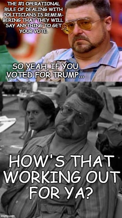 He got your votes, got back into power and now you no longer matter. | THE #1 OPERATIONAL
RULE OF DEALING WITH
POLITICIANS IS REMEM-
BERING THAT THEY WILL 
SAY ANYTHING TO GET
YOUR VOTE. SO YEAH, IF YOU VOTED FOR TRUMP... HOW'S THAT
WORKING OUT
FOR YA? | image tagged in walter the big lebowski,politicians | made w/ Imgflip meme maker