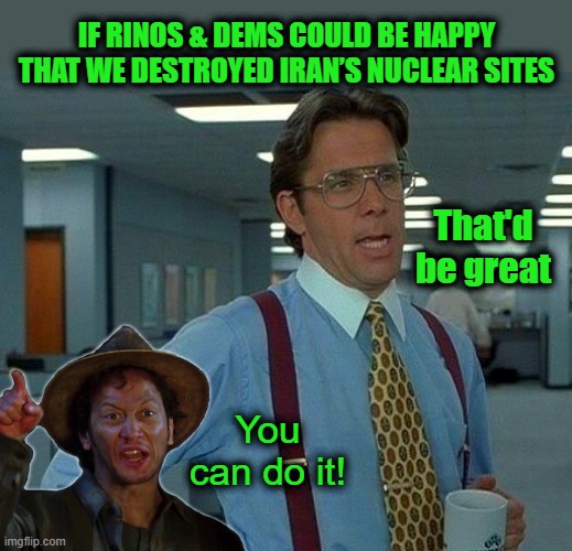 No Congratulations Needed, just be Happier | IF RINOS & DEMS COULD BE HAPPY THAT WE DESTROYED IRAN’S NUCLEAR SITES; That'd be great; You can do it! | image tagged in memes,that would be great | made w/ Imgflip meme maker