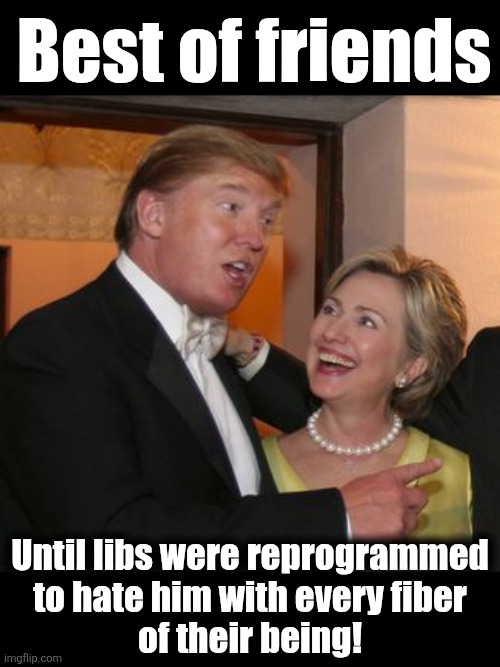Hillary trump | Best of friends Until libs were reprogrammed
to hate him with every fiber
of their being! | image tagged in hillary trump | made w/ Imgflip meme maker