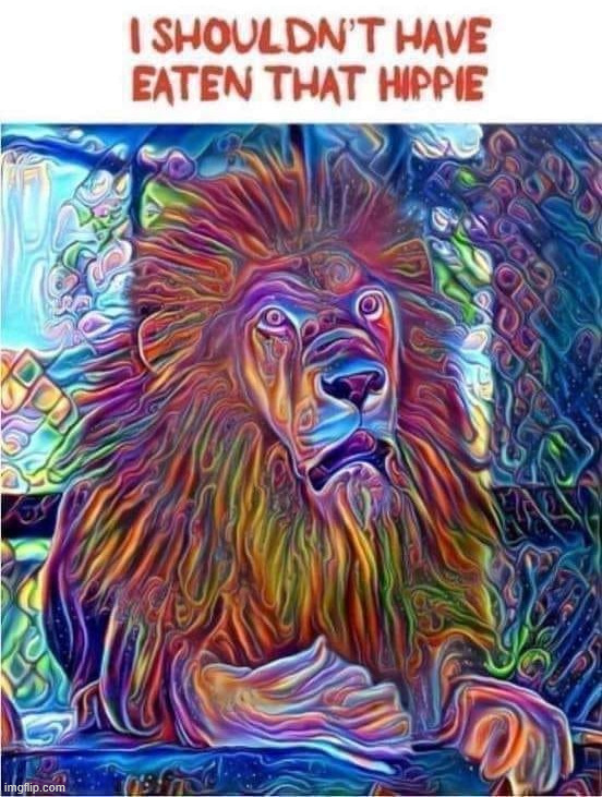 The dude must have eaten magic mushrooms | image tagged in drugs | made w/ Imgflip meme maker