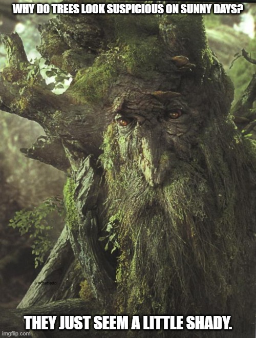 Daily Bad Dad Joke June 24, 2025 | WHY DO TREES LOOK SUSPICIOUS ON SUNNY DAYS? THEY JUST SEEM A LITTLE SHADY. | image tagged in tree beard | made w/ Imgflip meme maker