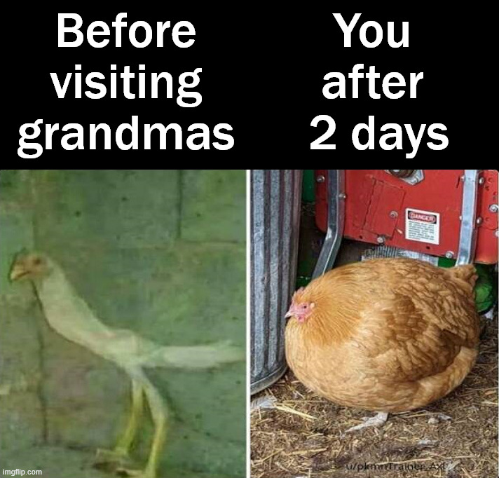 So many cookies .... | Before visiting grandmas; You 
after 
2 days | image tagged in eating,grandma,visiting,so full | made w/ Imgflip meme maker