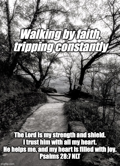 Walking by Faith | Walking by faith, tripping constantly; The Lord is my strength and shield.
I trust him with all my heart.
He helps me, and my heart is filled with joy.

Psalms 28:7 NLT | image tagged in walking trail | made w/ Imgflip meme maker