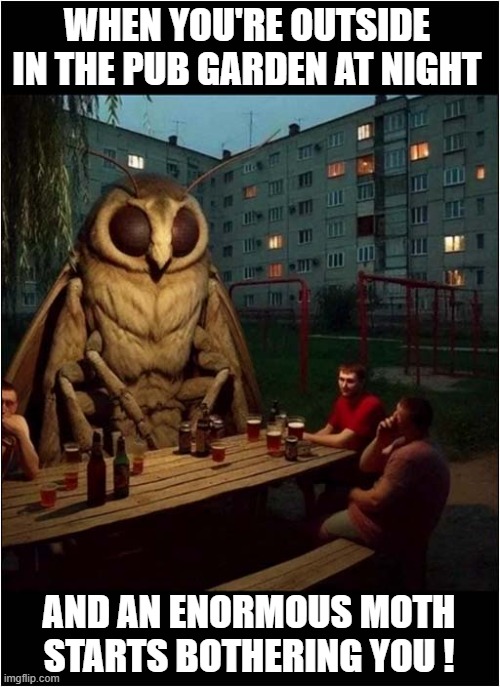 Don't You Just Hate It ... | WHEN YOU'RE OUTSIDE IN THE PUB GARDEN AT NIGHT; AND AN ENORMOUS MOTH STARTS BOTHERING YOU ! | image tagged in pub garden,beer,night,annoying,moth | made w/ Imgflip meme maker
