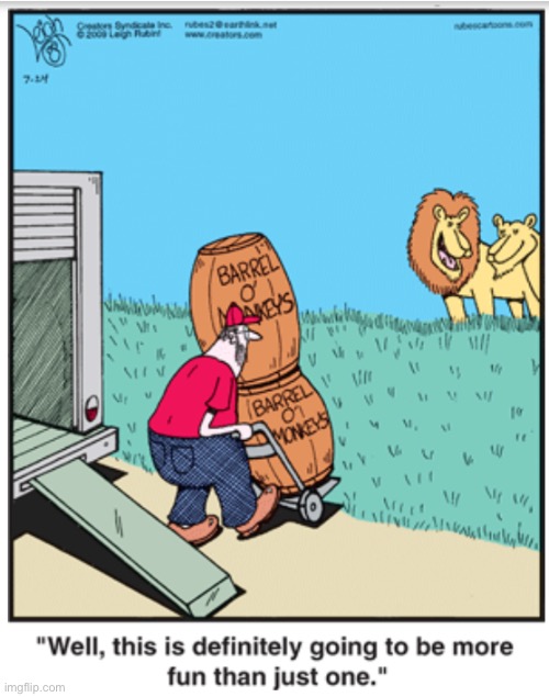Rubes | image tagged in comics,rubes,barrels of monkeys,twice the fun | made w/ Imgflip meme maker